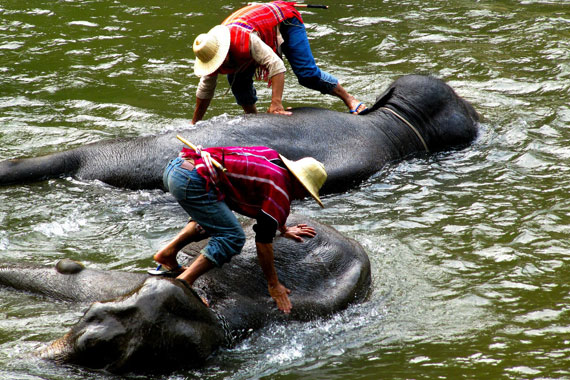 malaysia excursion