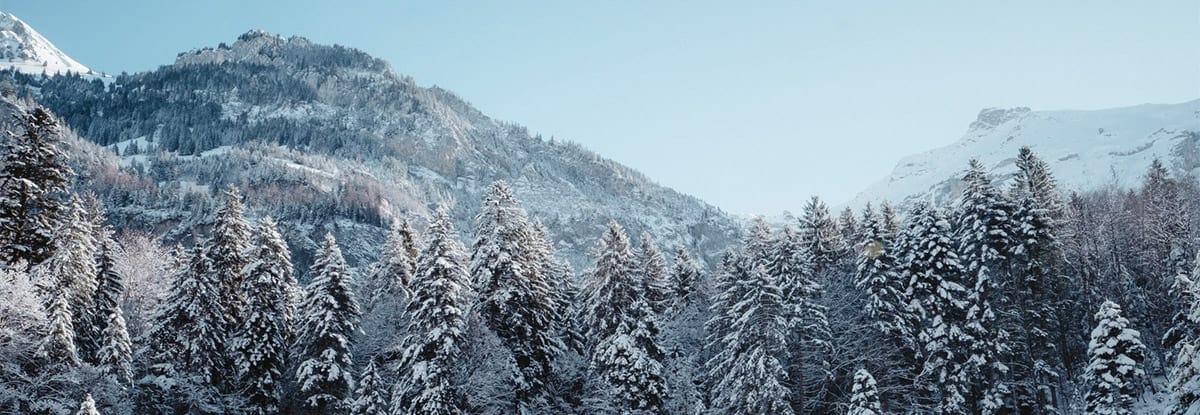 long haul ski resorts for schools banner