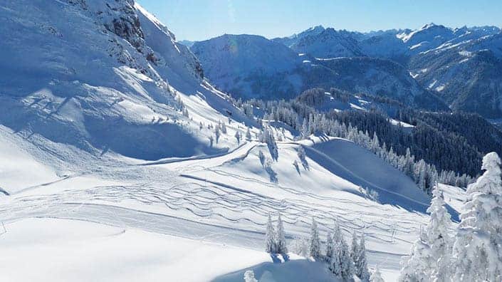 Snowy scene