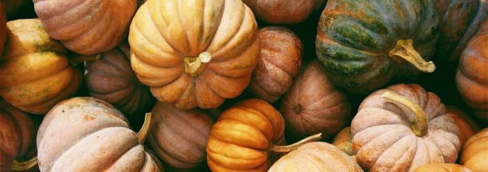 Thanksgiving in the U.S banner