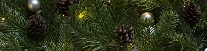 christmas Festive Fitness banner