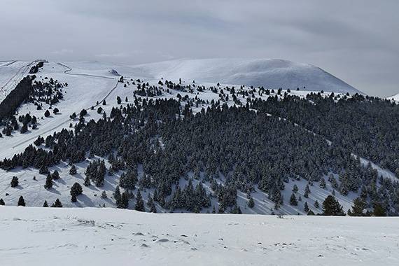la molina spain school ski trip