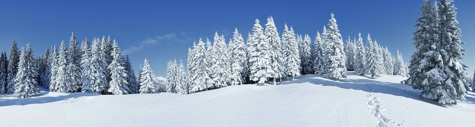 prato nevoso italy school ski trip