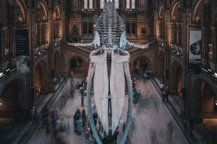 Natural History Museum London School science trips Natural History Museum London School science trips