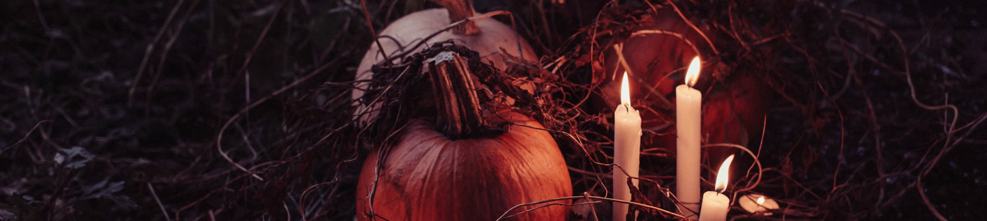 Halloween themed school trips