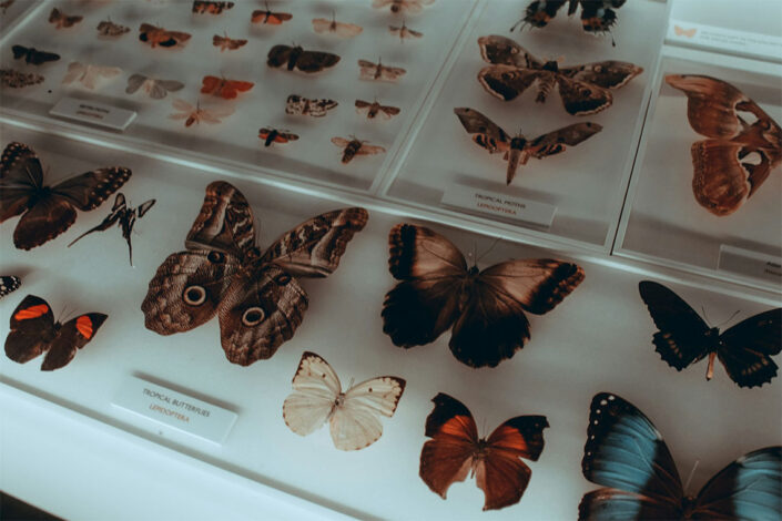 Biology display school science trip Biology display school science trip