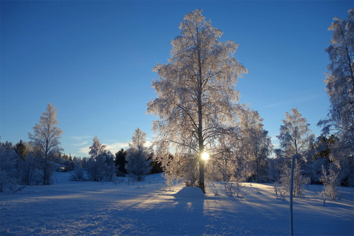 School Ski Trip to Sälen Sweden