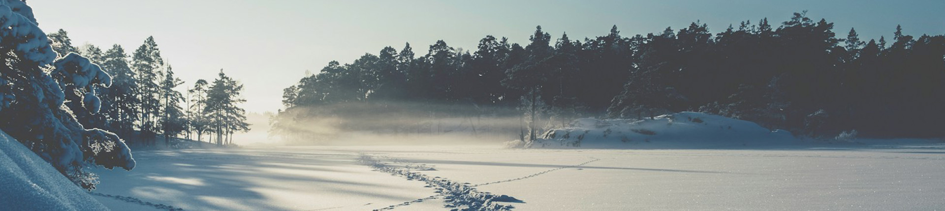 Sweden School Ski Trips banner