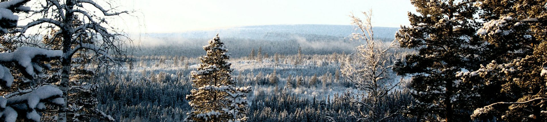 Sweden School Ski Trips banner