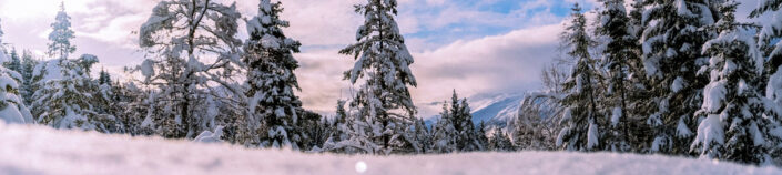 norway trysil School Ski Trips banner