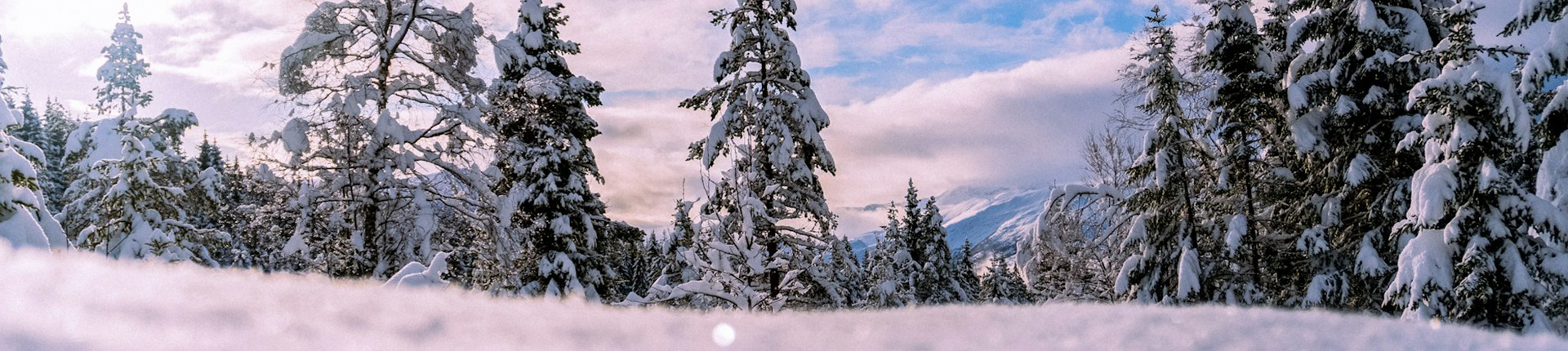 norway trysil School Ski Trips banner