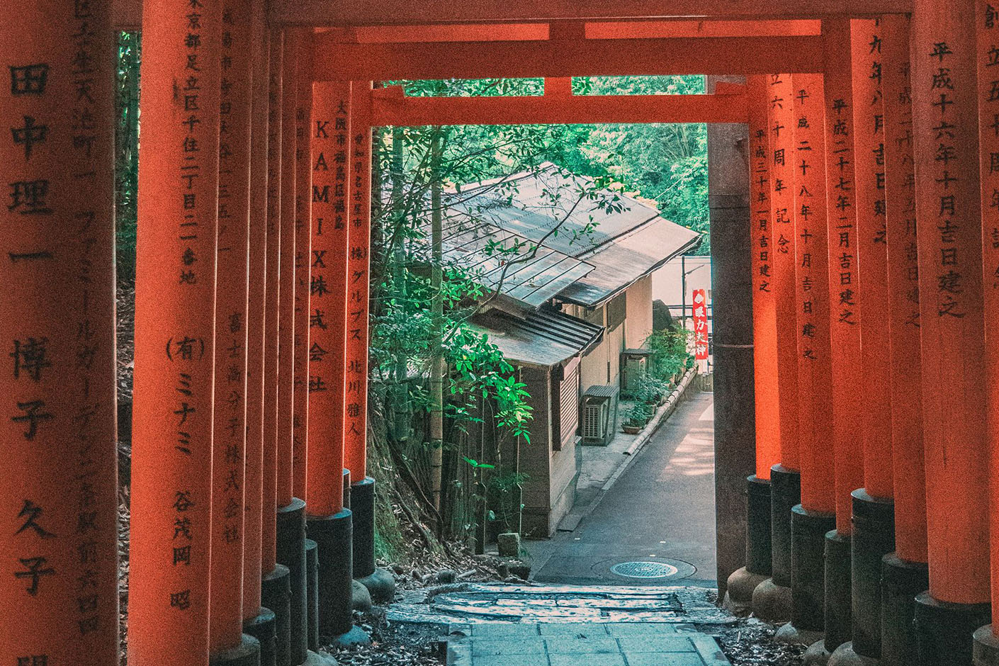 torii gates kyoto
