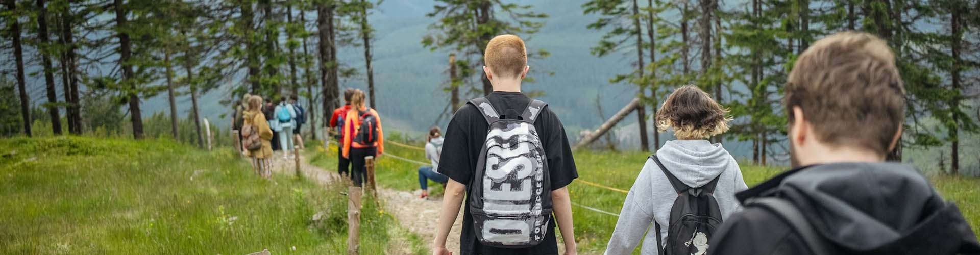 students hiking a forest trail banner